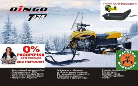 Снегоходы - Трансформеры Разборный снегоход IRBIS DINGO T125 125сс 4т ирбис динго (мототрансформер) + сани!