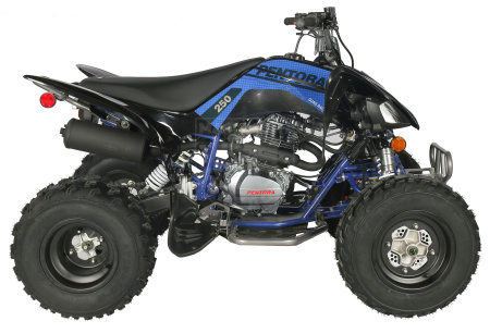 Apollo Квадроцикл Apollo PENTORA 250 синий