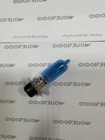 photo1677600334 (3)