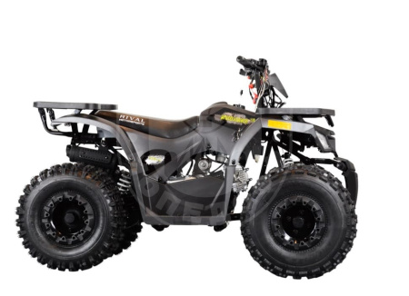TAO motors Квадроцикл TAO MUDHAWK 10 чёрный