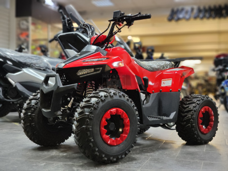 Yacota Квадроцикл YACOTA RAPOSA 110cc красный