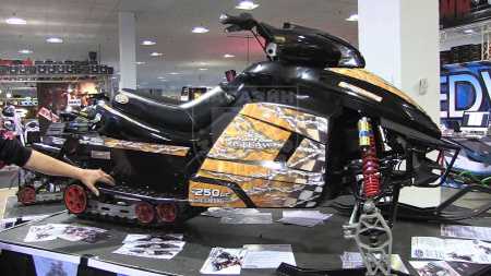 Снегоходы Снегоход King Husky (Short Track) CFMOTO CF250