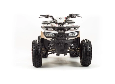 Bison Квадроцикл Bison ATV 125 Wild