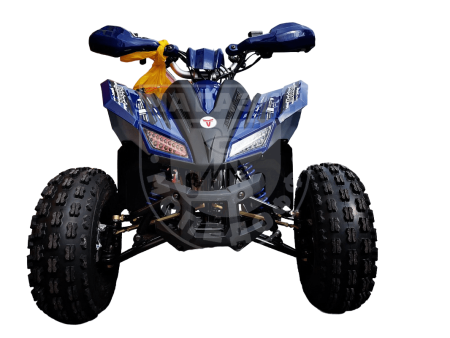 Motoland Квадроцикл MOTOLAND 125 COYOTE PRO купить в Мопедофф www.9814555.ru