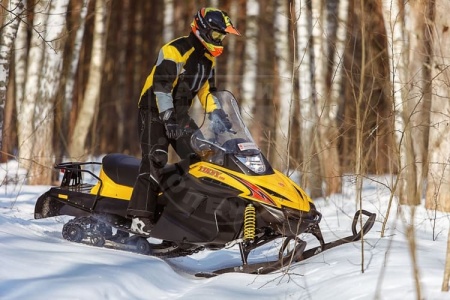 RM (Русская механика) Снегоход TIKSY 250 Люкс 22 л.с. PM3-250