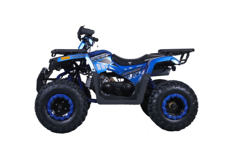 TAO motors Квадроцикл RAPTOR 200