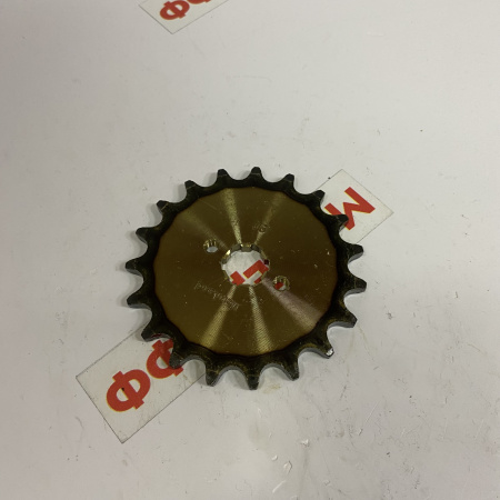 52019