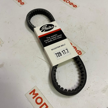 729