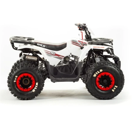 Motoland Комплект запчастей Motoland WILD 125 BASIC белый купить в Мопедофф www.9814555.ru