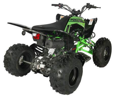 Apollo Квадроцикл Apollo PENTORA 250 зелёный