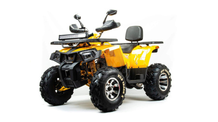 Motoland Комплект пластика MOTOLAND 200 WILD TRACK X (баланс. вал) купить в Мопедофф www.9814555.ru
