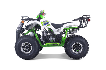 TAO motors Квадроцикл TAO 2022 T-FORCE PLATINUM зелёный