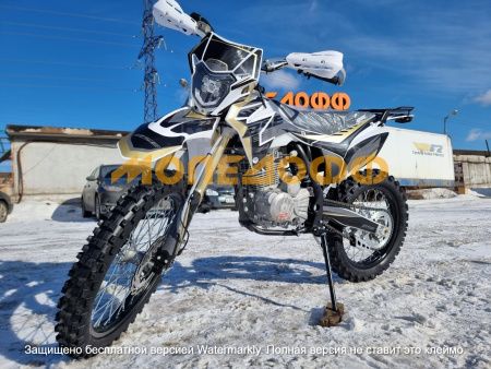 BSE Мотоцикл BSE Z3 2.0 Gold Black