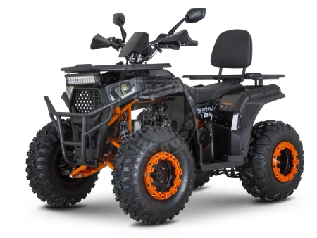 M1NSK Квадроцикл Minsk DZIK 200 BLACK