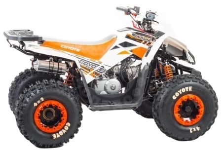 Motoland Квадроцикл MOTOLAND 125 COYOTE PRO orange купить в Мопедофф www.9814555.ru