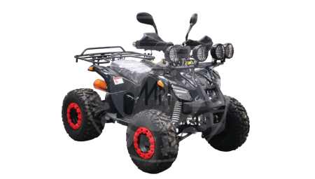 Bison Квадроцикл Bison KIDS 125 LD