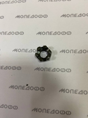 photo1677600234 (9)