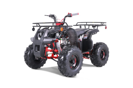 TAO motors Квадроцикл TAO 2022 T-FORCE чёрный