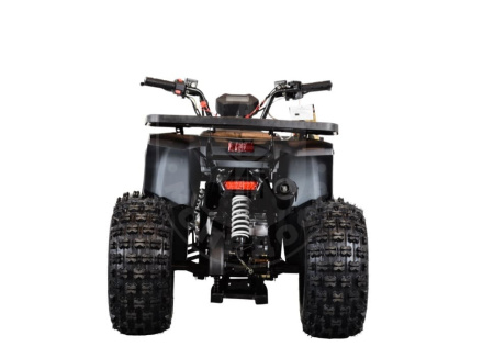 TAO motors Квадроцикл TAO MUDHAWK 10 чёрный