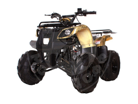 AVANTIS КВАДРОЦИКЛ AVANTIS HUNTER 8+ 125 КУБОВ Осенний камуфляж