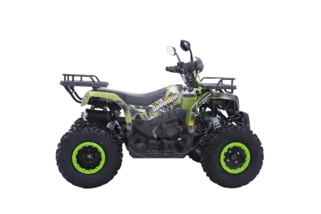 Yacota Квадроцикл YACOTA WARRIOR 200 PRO зеленый