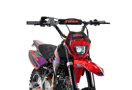 PROGASI Питбайк TMBK PITSTER SP1 125 14/12 red purple