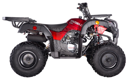 Apollo Квадроцикл Apollo PENTORA 250 С РУЧНЫМ СЦЕПЛЕНИЕМ красный