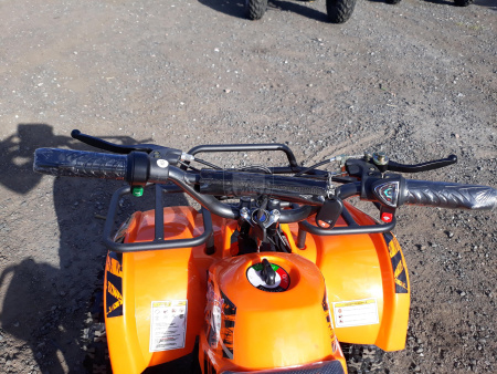 Детские Электроквадроцикл Motax Mini Grizlik Х-16 1000W