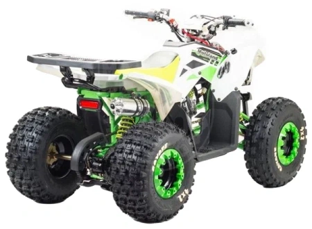 Motoland Квадроцикл MOTOLAND 125 COYOTE PRO green купить в Мопедофф www.9814555.ru